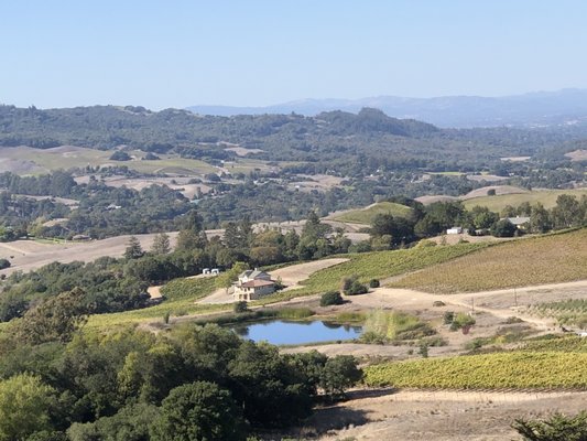 North Sonoma Mountain Regional Park by null