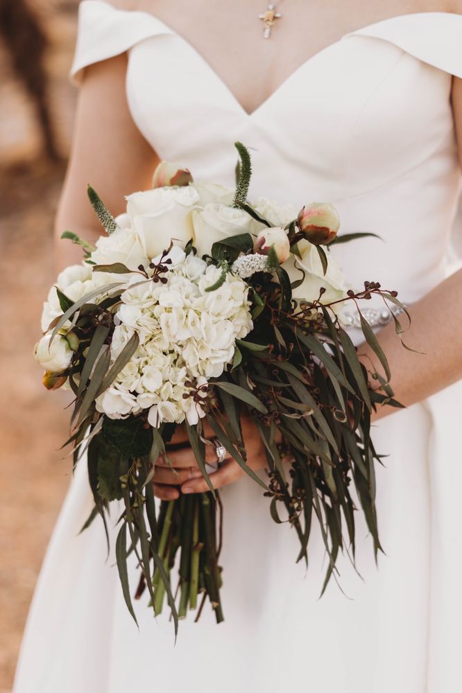 A TILTED TULIP SURPRISE Updated September 2024 Surprise, Arizona