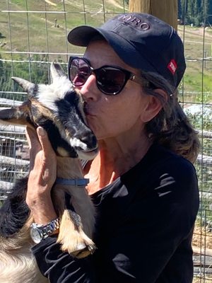 Vail Stables by null