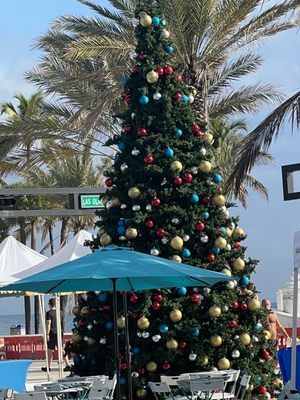 Las Olas Oceanside Park by null