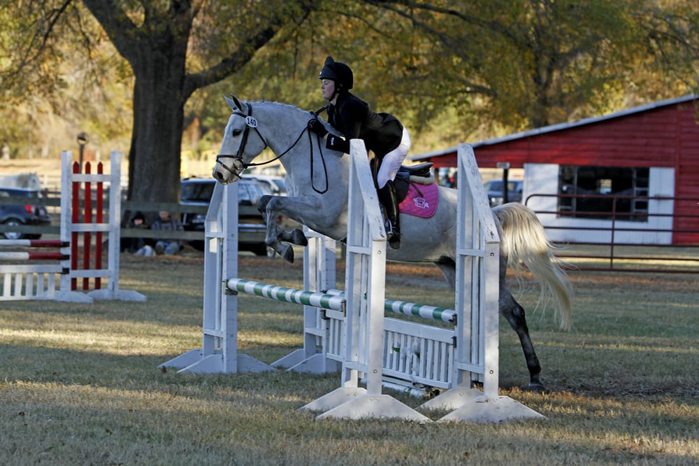 Go With It Farm - equestrian in Sandy Springs, GA