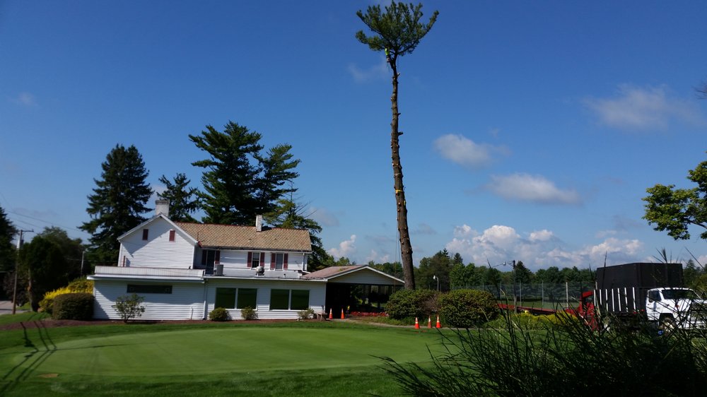 Marino's Tree Service - tree service in Pittsburgh, PA