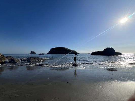 Samuel H. Boardman State Scenic Corridor by null