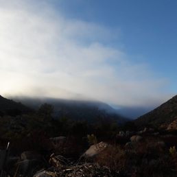 Morning Mist on the Old Mission Dam Trail is glorious. Morning Mist on the Old Mission Dam Trail is glorious.