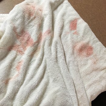 Stanley Steemer - Red stuff that they said they couldn't get out - Carpet Cleaning Near Me - Lakeland, Florida