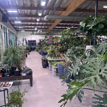 Deep Roots Garden Center - Nurseries & Gardening Near Me - Torrance, California Deep Roots Garden Center - Nurseries & Gardening Near Me - Torrance, California