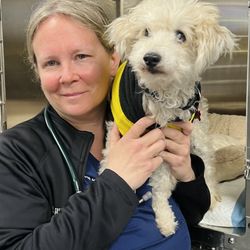 MedVet Silicon Valley