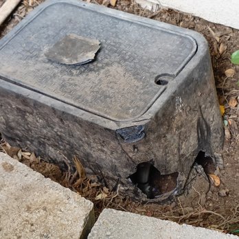 SD Valley Landscaping - a black pot on the ground - Tree Services Near Me