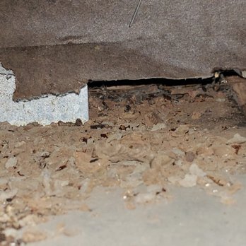 Core Inspection Services - Huge hole in the attic wall that was missed - Home Inspectors Near Me - Sonora, California Core Inspection Services - Huge hole in the attic wall that was missed - Home Inspectors Near Me - Sonora, California