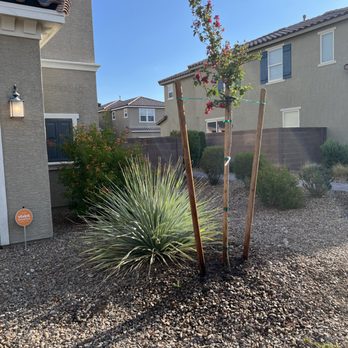 Professional Landscaping Services - After - Landscaping Near Me Professional Landscaping Services - After - Landscaping Near Me