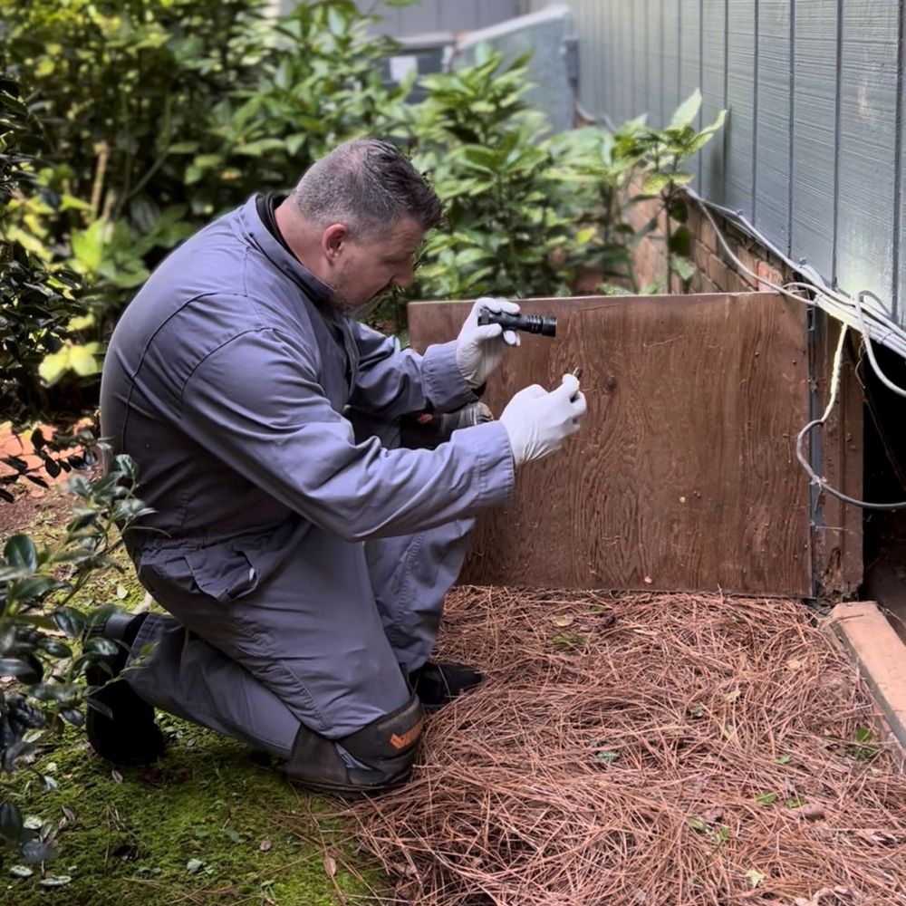 Pillar To Post Home Inspectors - The TM Team - mold inspector in Athens, GA