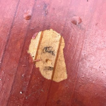 Crafted Outdoor Living & Design - Giant peel on stain - Landscape Architects or Designers Near Me Crafted Outdoor Living & Design - Giant peel on stain - Landscape Architects or Designers Near Me