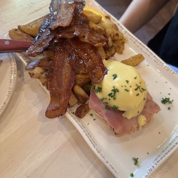 Egg - Traditional Eggs Benedict~ - Breakfast & Brunch Near Me - Rehoboth Beach, Delaware
