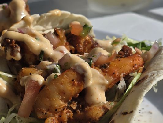 John Scott's Surf Shack by null