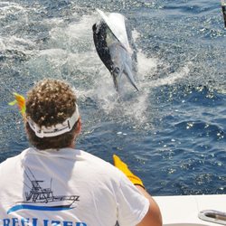 Offshore fishing action.