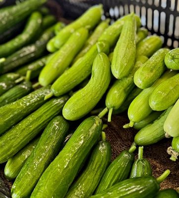 Sang Lee Farms by null