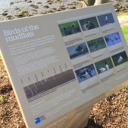 Victoria Park - Bird watching