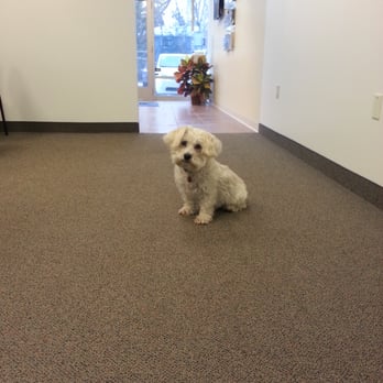 Christian Hansen Insurance - Jerzee Office Mascot - Home & Rental Insurance Near Me Christian Hansen Insurance - Jerzee Office Mascot - Home & Rental Insurance Near Me