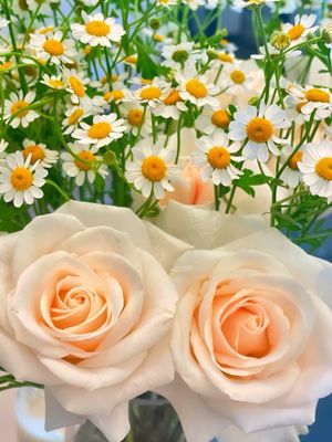 Trader Joe's by null