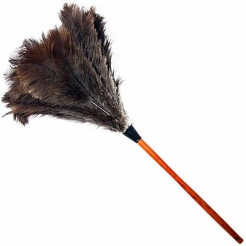 Maid Envy - Home Cleaning Near Me - Houston, Texas