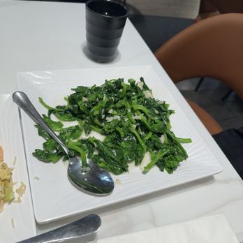 Jin Huang - Cantonese Near Me - Seattle, Washington Jin Huang - Cantonese Near Me - Seattle, Washington