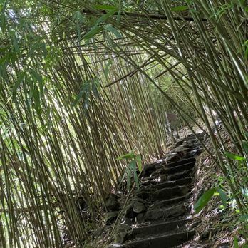 Pipiwai Trail - Hiking Near Me - Hana,, Hawaii