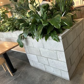 Tortilla Shack - Mexican Near Me - Santa Cruz, California