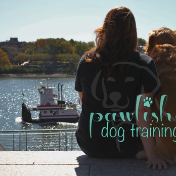 Pawlished Dog Training - Pet Training Near Me - Mentor, Kentucky