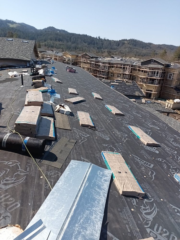 Slide of Emilio’s Painted