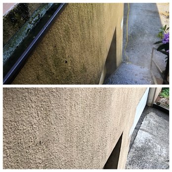 Capitol Hill Carpet Cleaning - This top photo is the side of a building with mildew and mold. The bottom picture is after we treated with cleaner And pressure washed. - Carpet Cleaning Near Me - Seattle, Washington