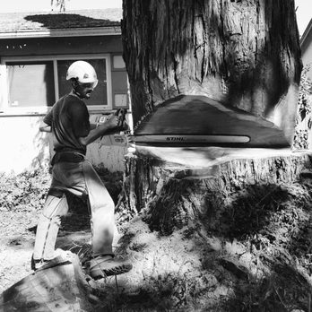 Eco Tree Solutions - Tree Services Near Me Eco Tree Solutions - Tree Services Near Me