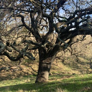 Preserve Trail - Hiking Near Me - Pleasanton, California