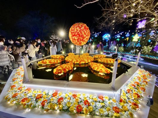 Ashikaga Flower Park by null