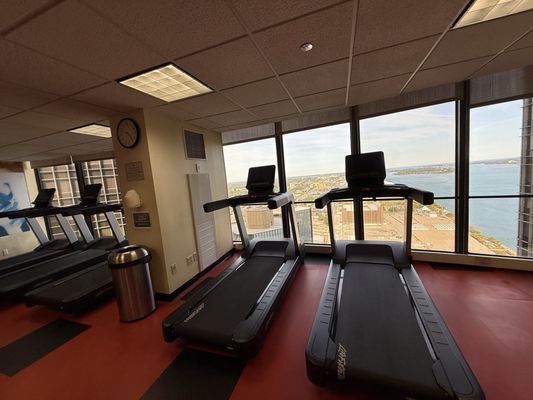 Detroit Marriott at the Renaissance Center by null