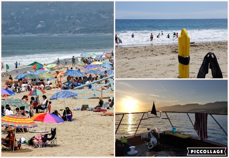 Golden State Lifeguards Logo