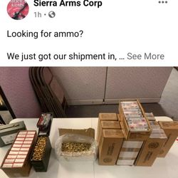 Sierra Arms Corp. - 9MM AMMO SIERRA ARMS CORPS