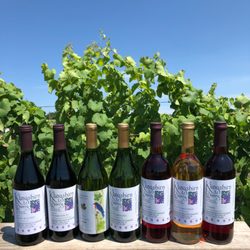 Klingshirn Winery - Tastings are available Monday thru Saturday from 10AM to 6PM.