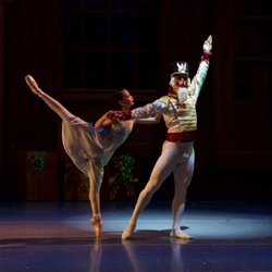 Illinois Dance Conservatory