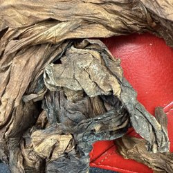 ARCO - This is a Tabacco leaf filled with bugs and mildew