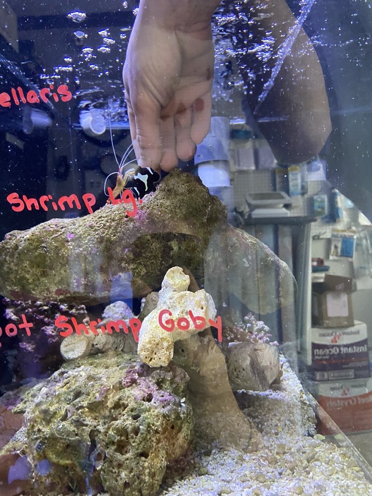 AQUARIUMS DONE WRIGHT Updated October 2024 71 Photos 1525 Ogden