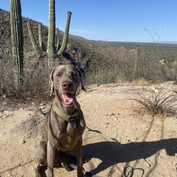Tanque Verde Falls Trail - Hiking Near Me - Tucson, Arizona