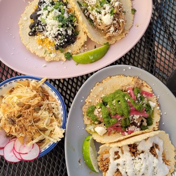 Perro Blanco - Rice and Beans & Chicken Tinga on top, Carnitas and Chicken Chorizo on bottom. Crunch factor plate on the side! - Mexican Near Me - Norfolk, Virginia