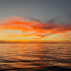 Marine Adventures 30A
