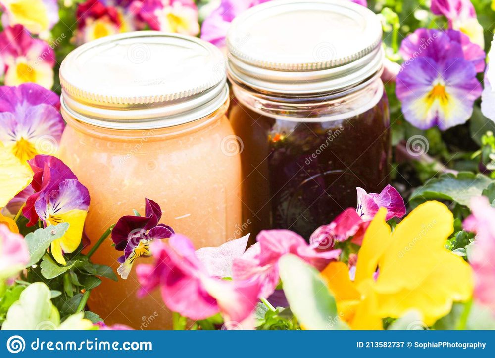 GREAT EARTH VITAMINS Updated September 2024 1011 Northwest Hwy B