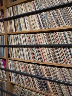 Meow Wolf Houston | Radio Tave by null