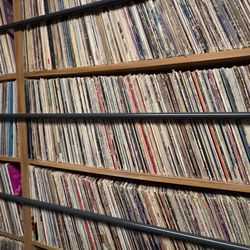Meow Wolf Houston - Radio Tave - Lots of vinyl
