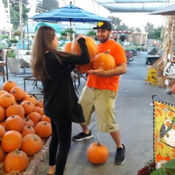 Armstrong Garden Centers - Nurseries & Gardening Near Me - Long Beach, California Armstrong Garden Centers - Nurseries & Gardening Near Me - Long Beach, California