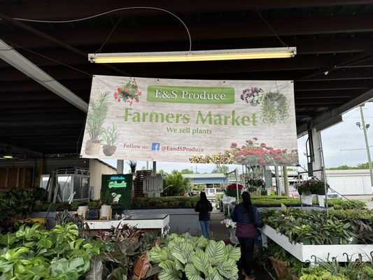 Alabama Farmers Market by null