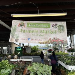 Alabama Farmers Market