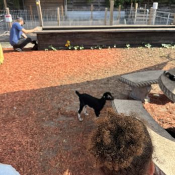 Hogan’s Place - Attraction Farms Near Me - Gibsonton, Florida